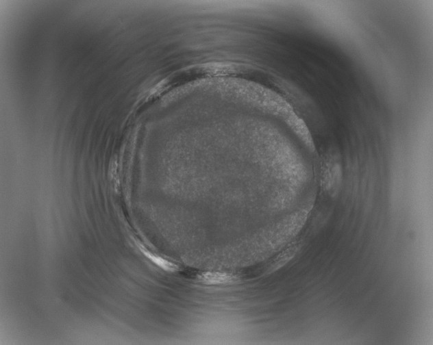 X0000078880766200612111739