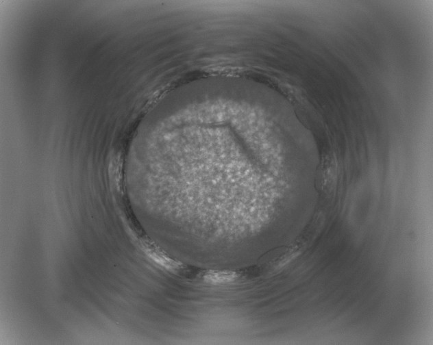 X0000078880767200612111739