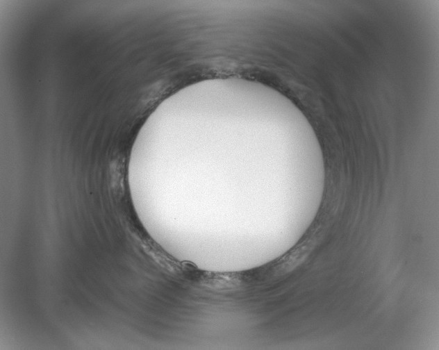 X0000078880768200612111739