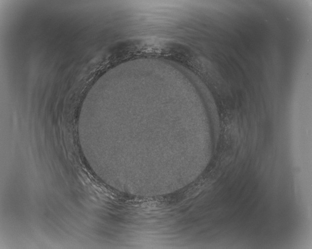 X0000078880769200612111738