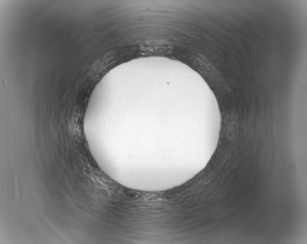 X0000078880770200612111738