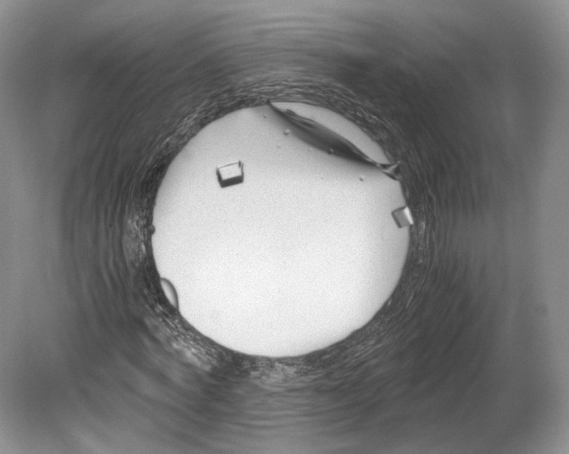 X0000078880772200612111738