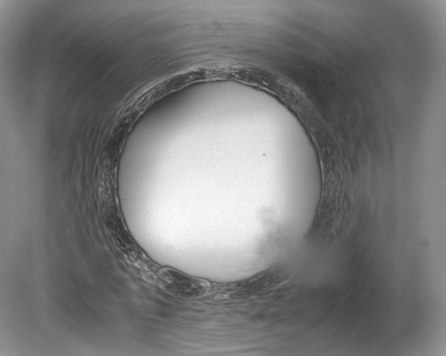 X0000078880773200612111738