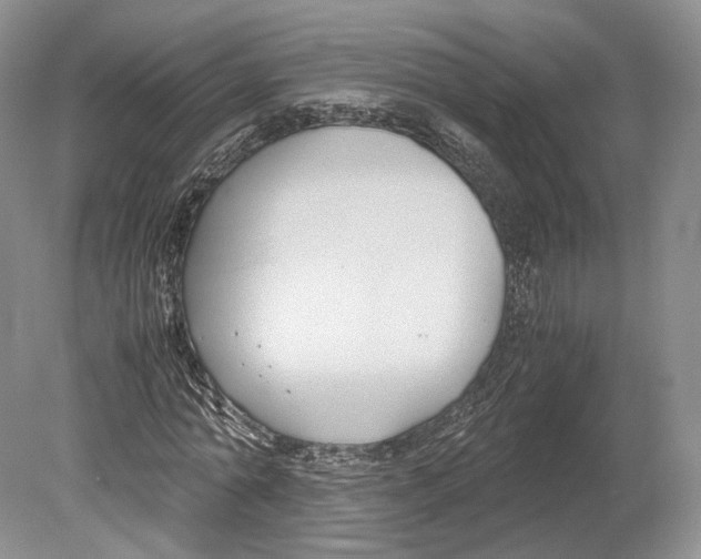 X0000078880774200612111738