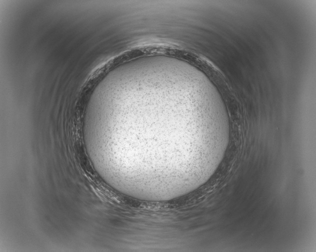 X0000078880775200612111738