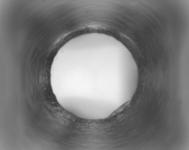 X0000078880776200612111738