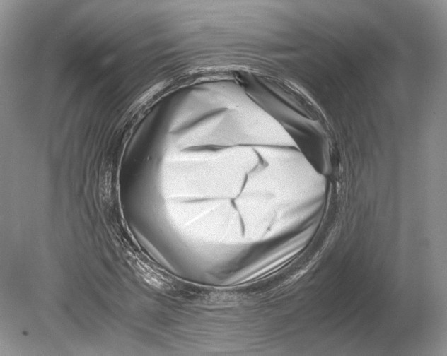 X0000078880777200612111738