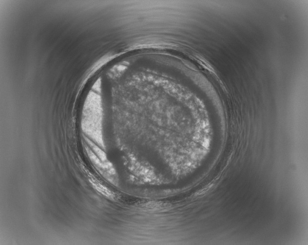 X0000078880779200612111738