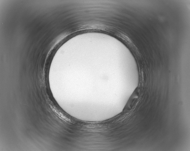 X0000078880780200612111738