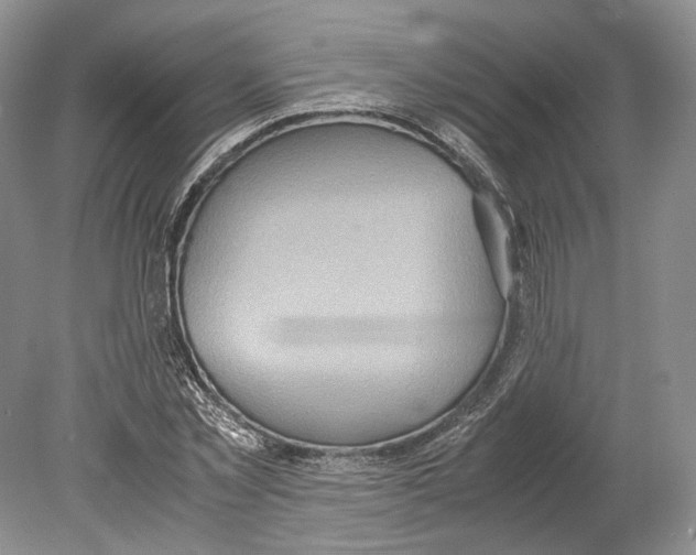 X0000078880781200612111738