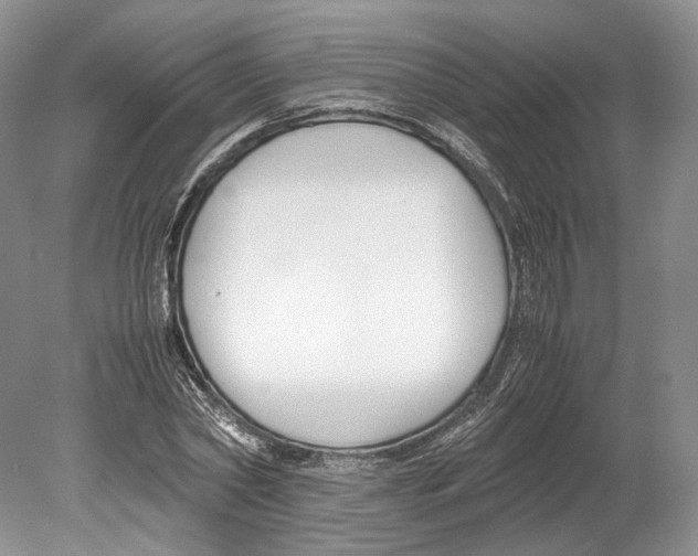 X0000078880782200612111738