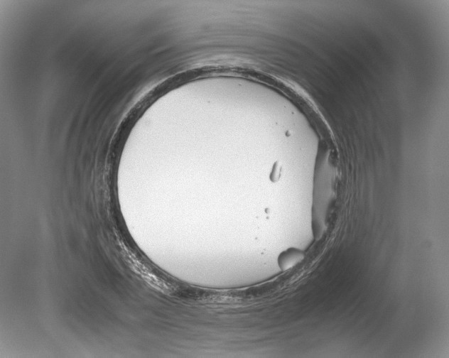 X0000078880783200612111738