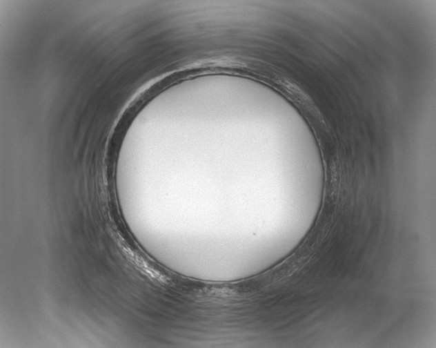 X0000078880784200612111738