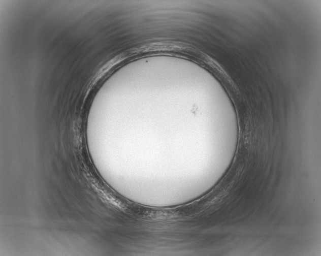 X0000078880786200612111738