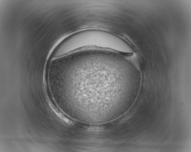 X0000078880788200612111738