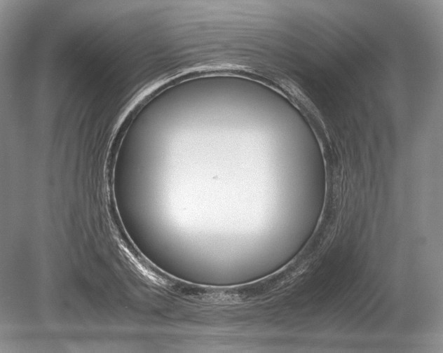 X0000078880789200612111738