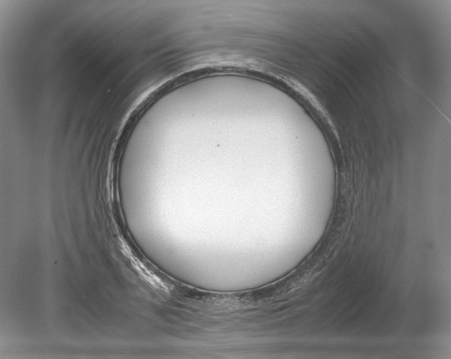 X0000078880791200612111738