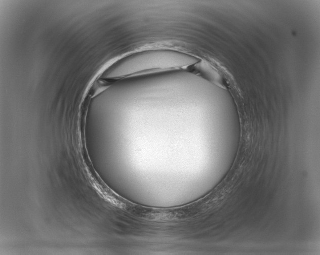 X0000078880792200612111738