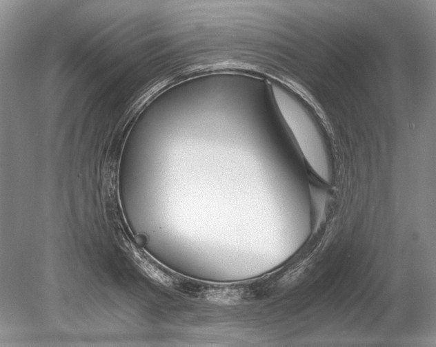 X0000078880793200612111738