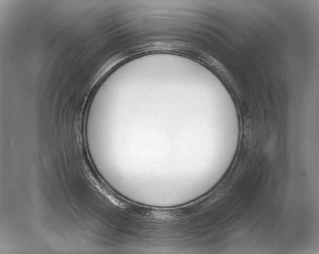 X0000078880794200612111738