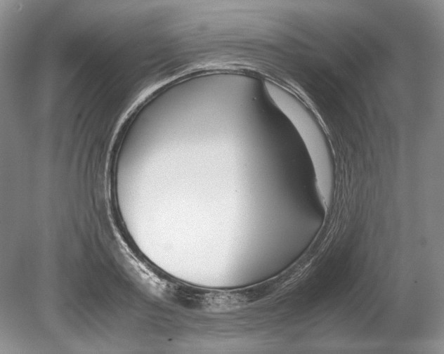 X0000078880795200612111738