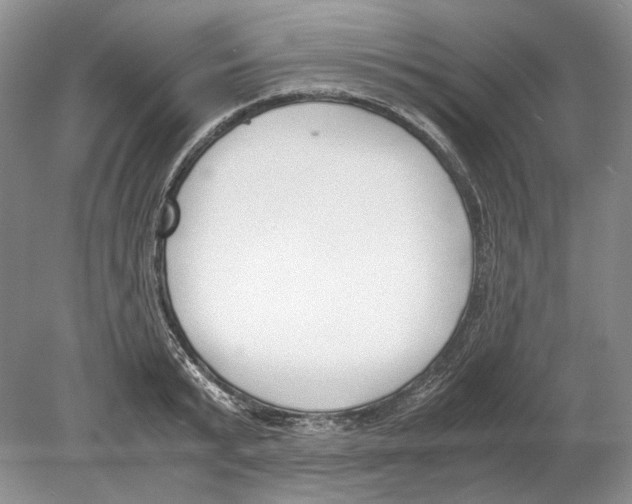 X0000078880799200612111738