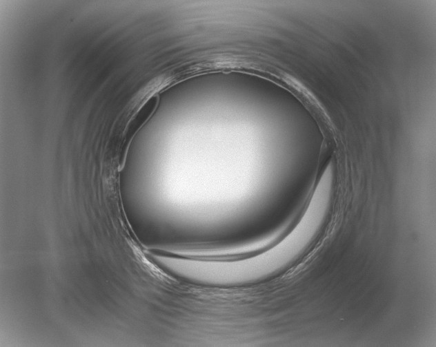 X0000078880801200612111738