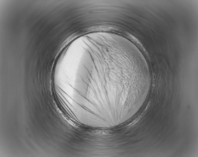 X0000078880802200612111738