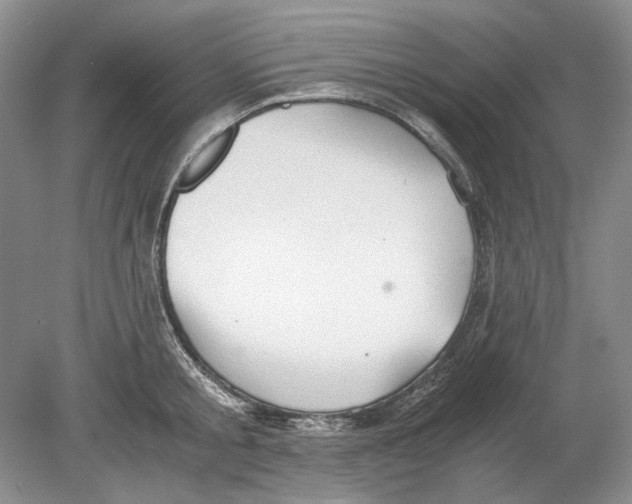 X0000078880805200612111738