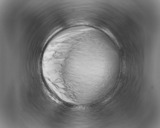 X0000078880806200612111738