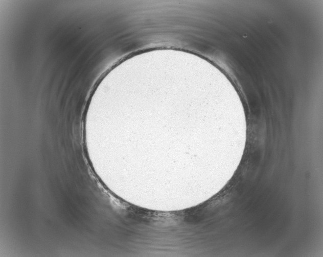 X0000078880807200612111738