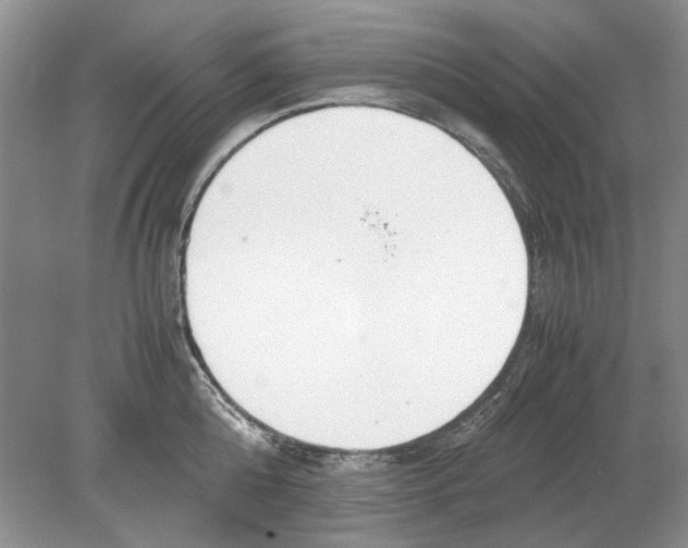 X0000078880808200612111738