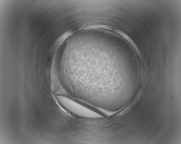 X0000078880809200612111738