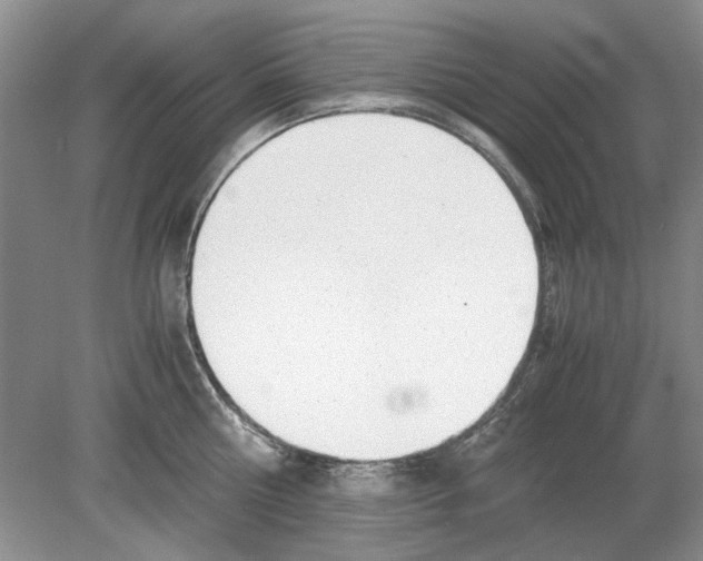 X0000078880810200612111738