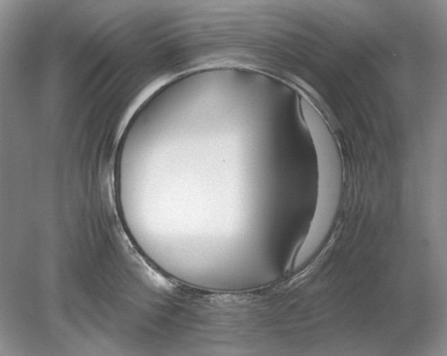 X0000078880812200612111738