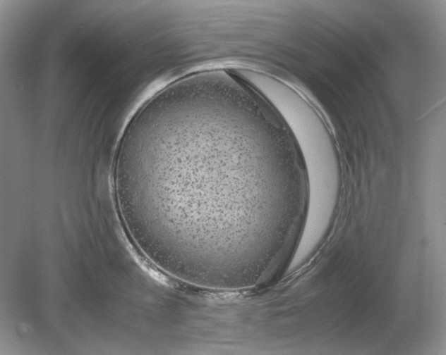 X0000078880813200612111738