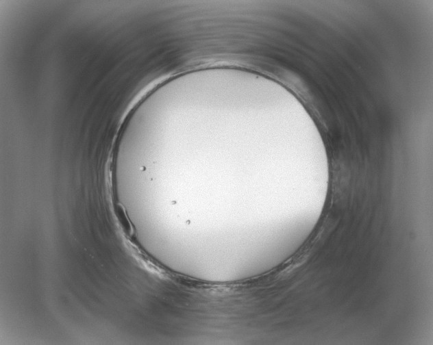 X0000078880814200612111738