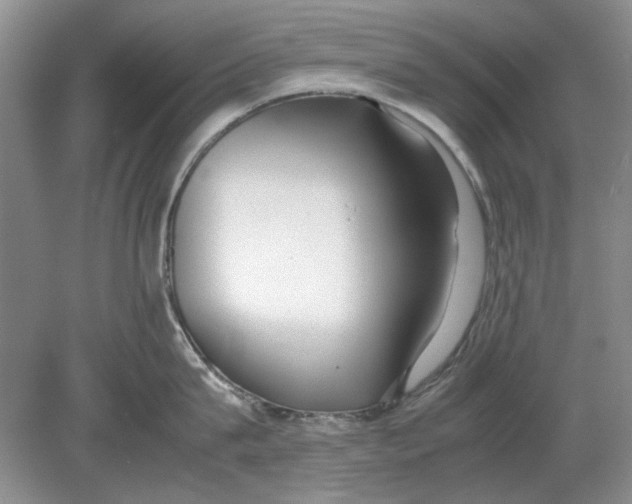 X0000078880815200612111738