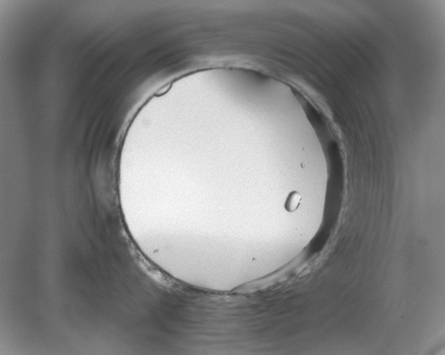 X0000078880816200612111738