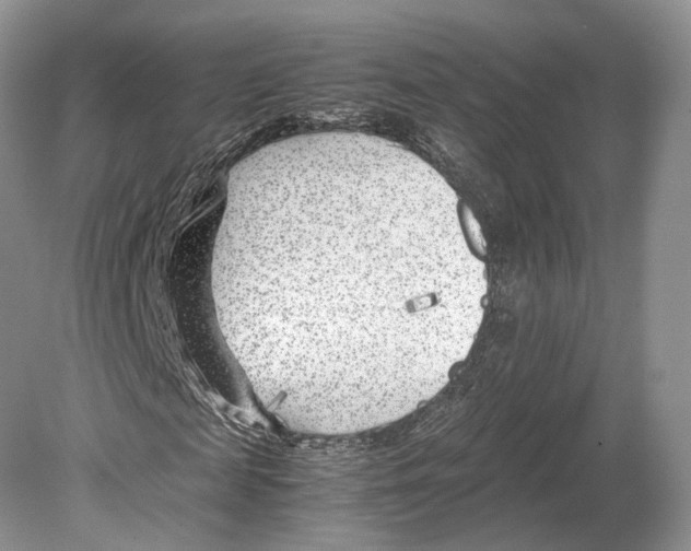 X0000078880817200612111737