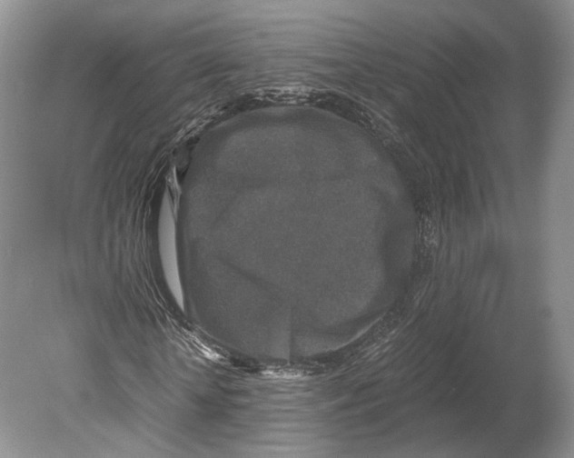 X0000078880818200612111737