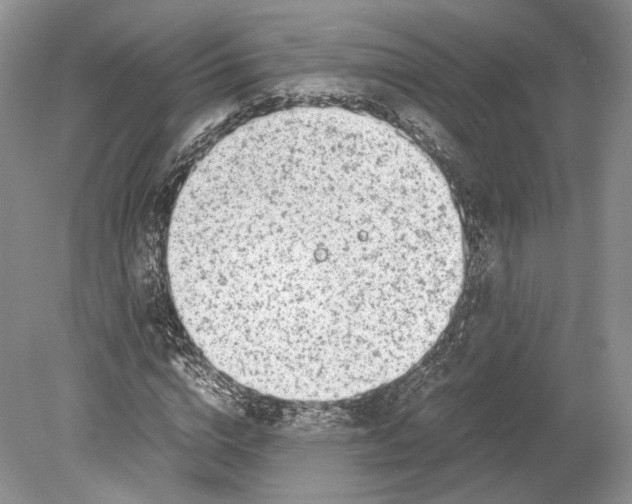 X0000078880824200612111737