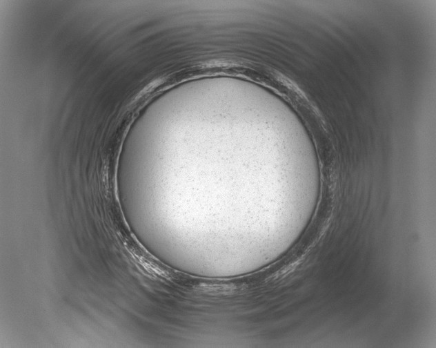 X0000078880825200612111737