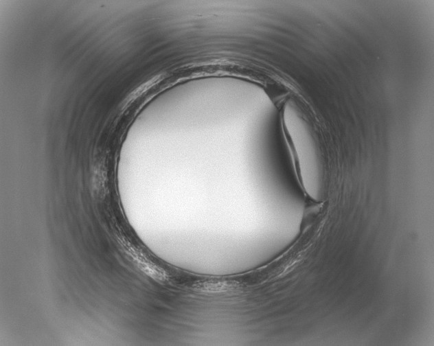 X0000078880826200612111737