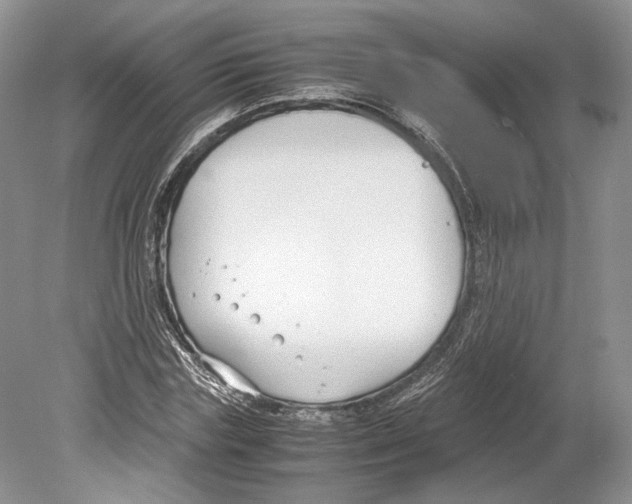 X0000078880827200612111737