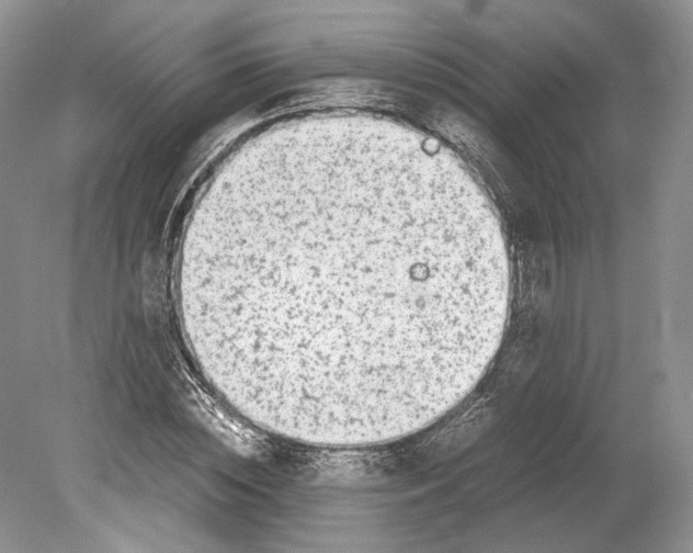 X0000078880828200612111737