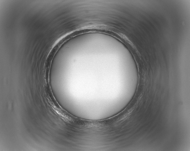 X0000078880830200612111737