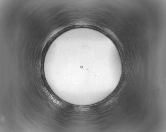 X0000078880831200612111737