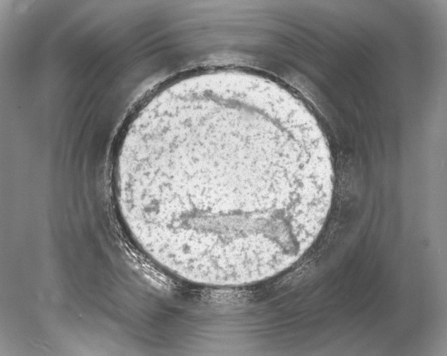 X0000078880832200612111737