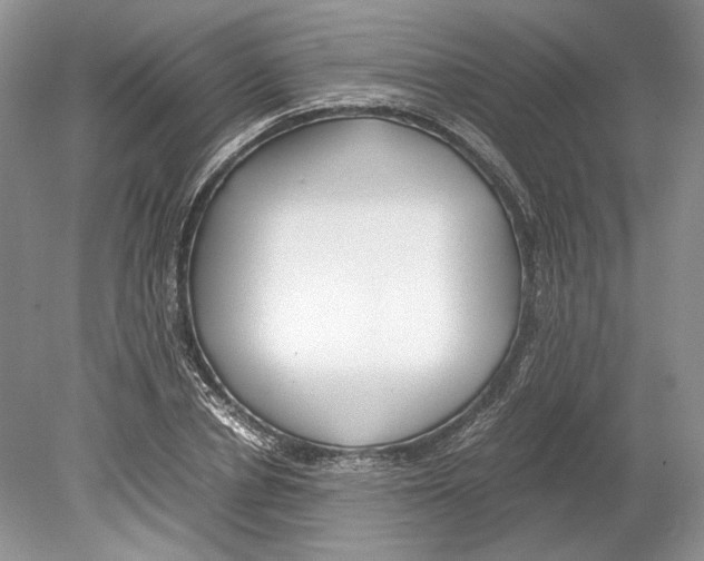 X0000078880834200612111737